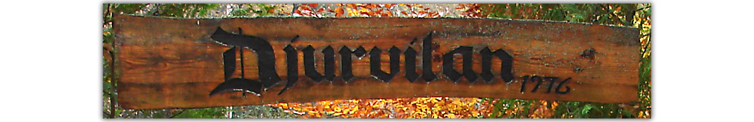 Djurvilan